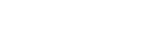 Evvo