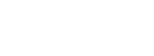 Save Car Brasil