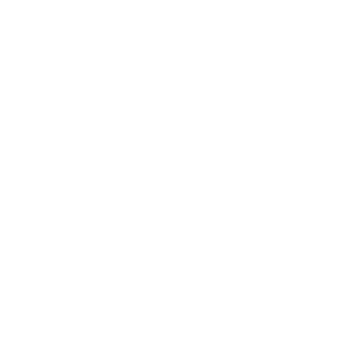 Santa Proteção Veicular